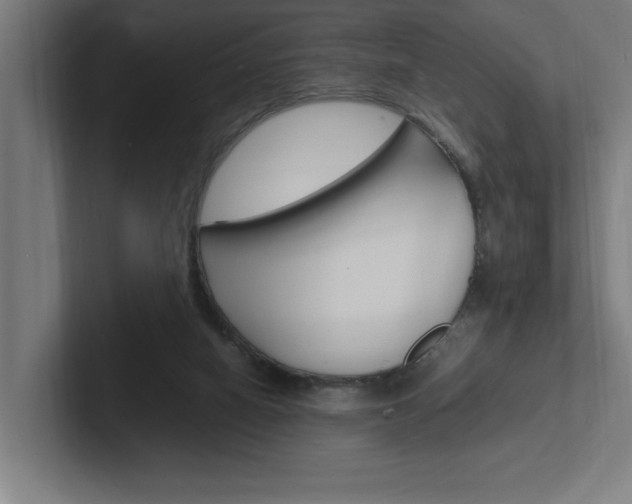 X0000102390066200808010943