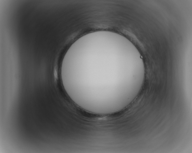 X0000102390068200808010943