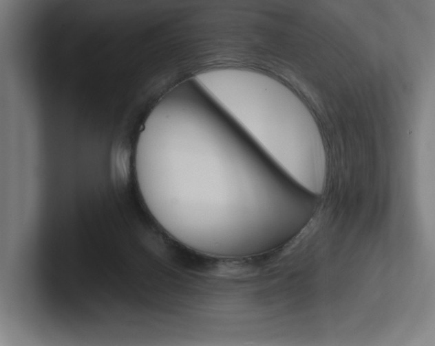 X0000102390070200808010943