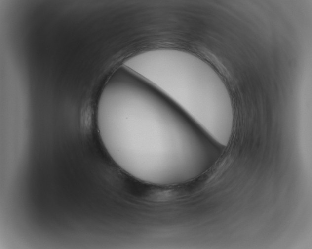 X0000102390071200808010943