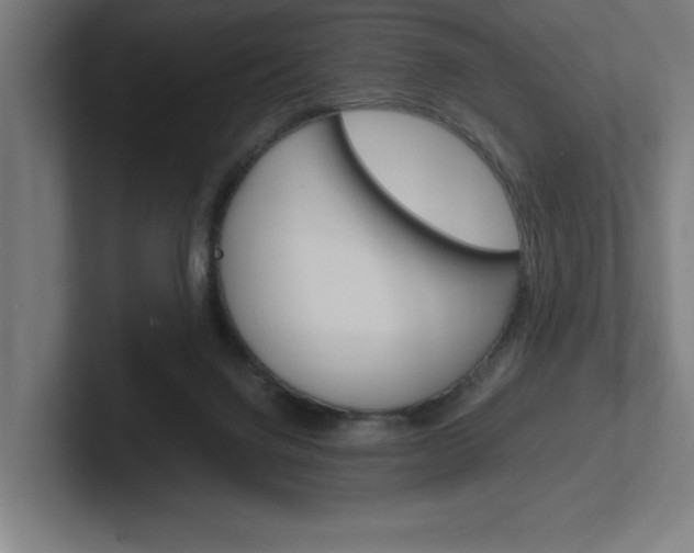 X0000102390072200808010943