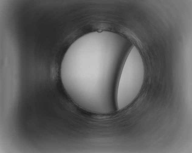 X0000102390073200808010943