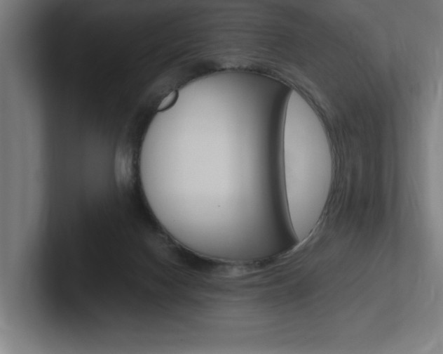 X0000102390074200808010943
