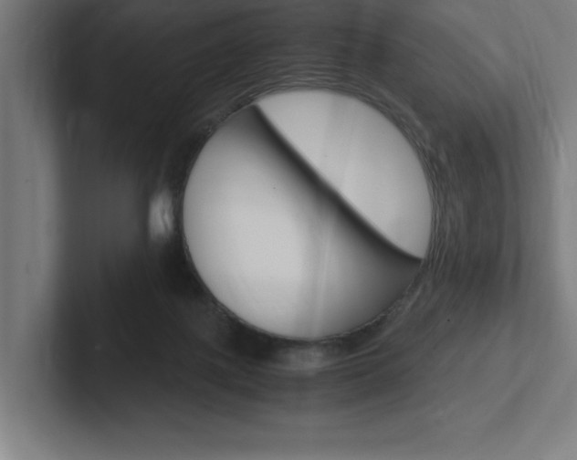 X0000102390075200808010943