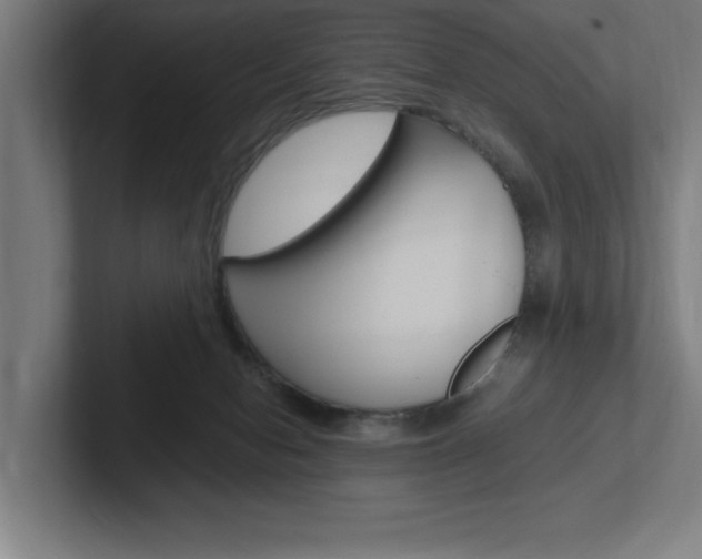 X0000102390078200808010943