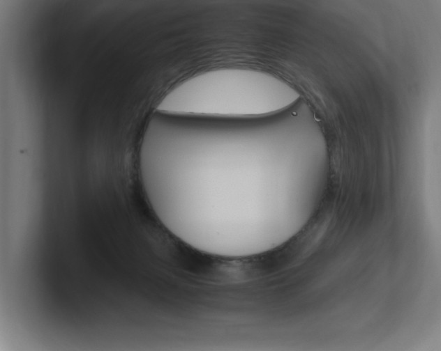 X0000102390079200808010943