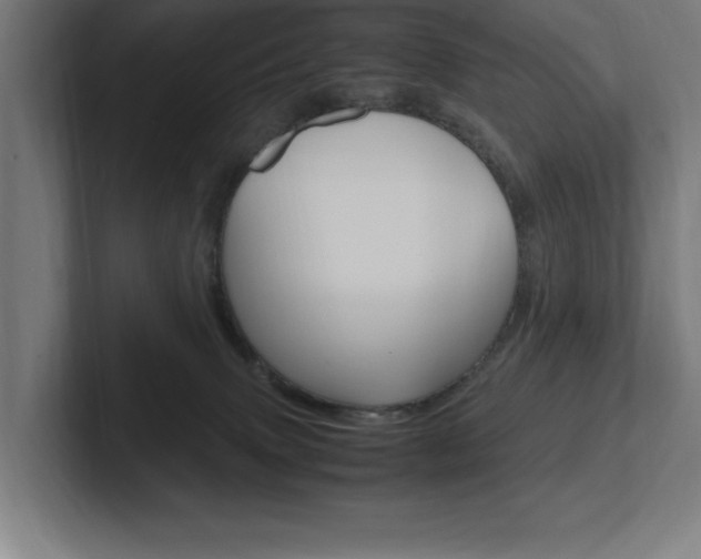 X0000102390083200808010943