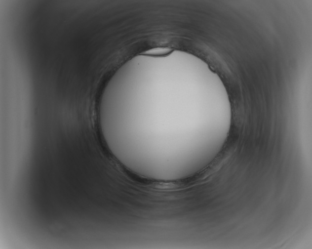 X0000102390085200808010943