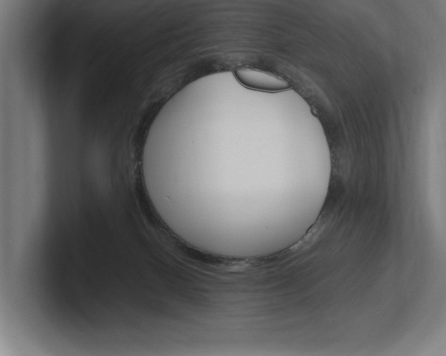 X0000102390086200808010943