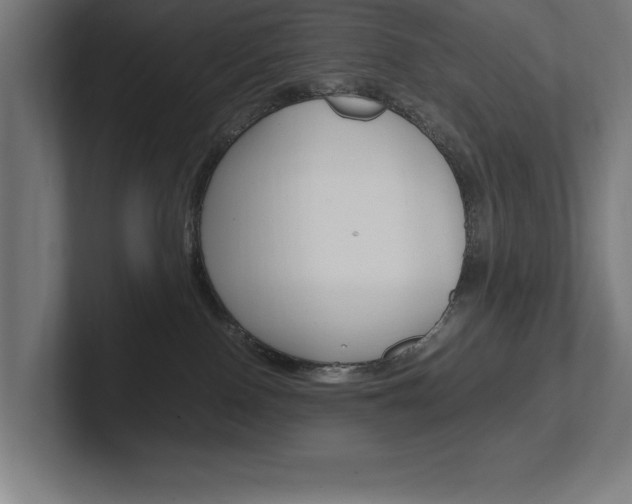 X0000102390090200808010943