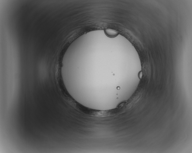 X0000102390092200808010943
