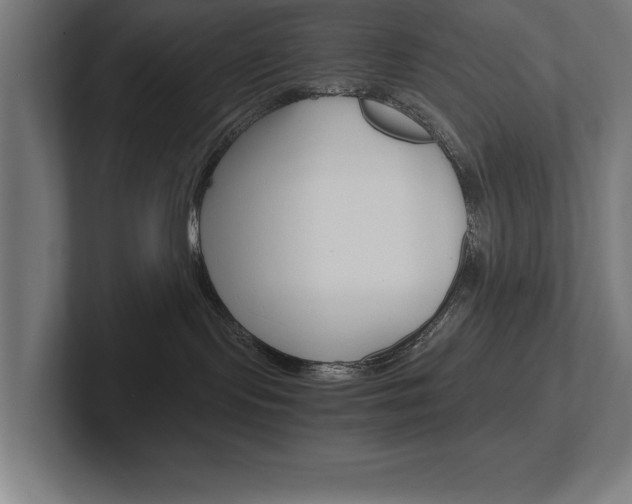X0000102390095200808010943