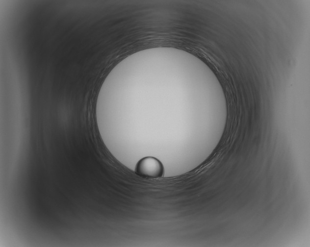 X0000102390096200808010943
