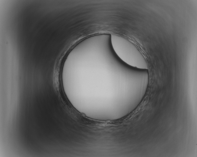 X0000102390098200808010942