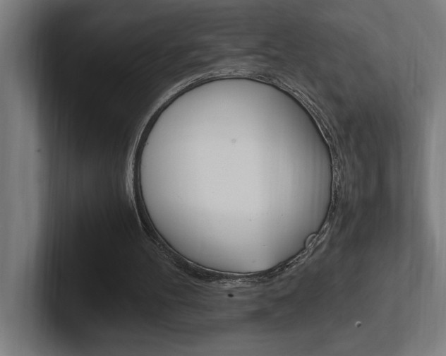 X0000102390100200808010942