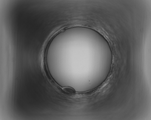 X0000102390101200808010942
