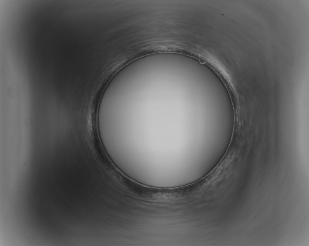 X0000102390105200808010942