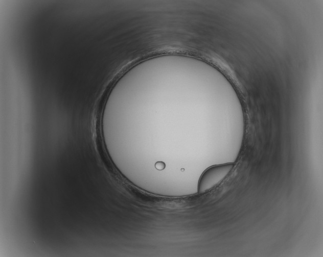 X0000102390106200808010942