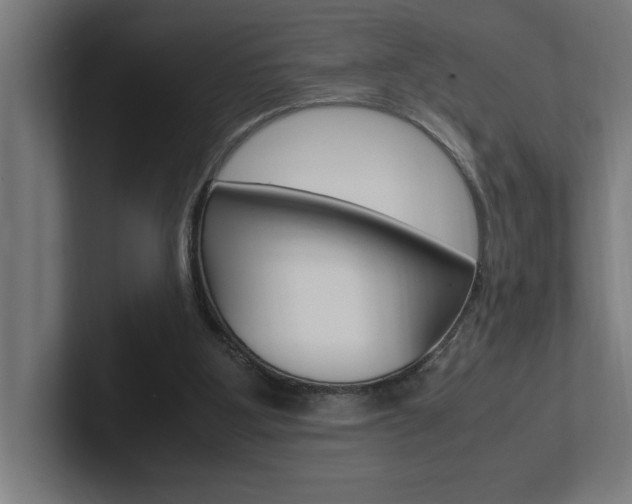 X0000102390107200808010942