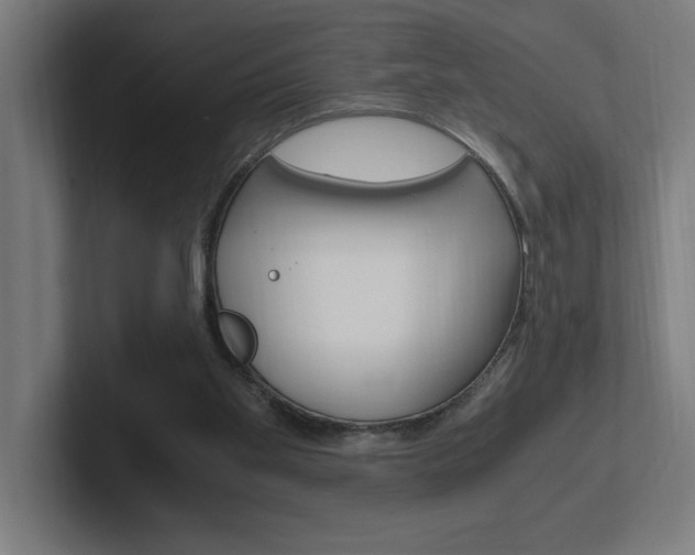 X0000102390109200808010942