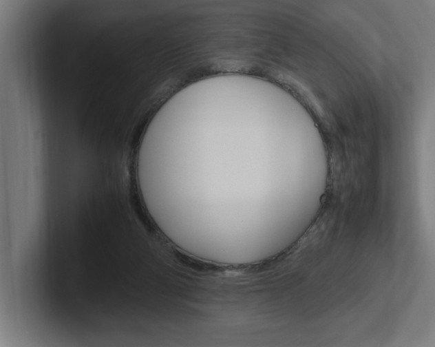 X0000102390114200808010942