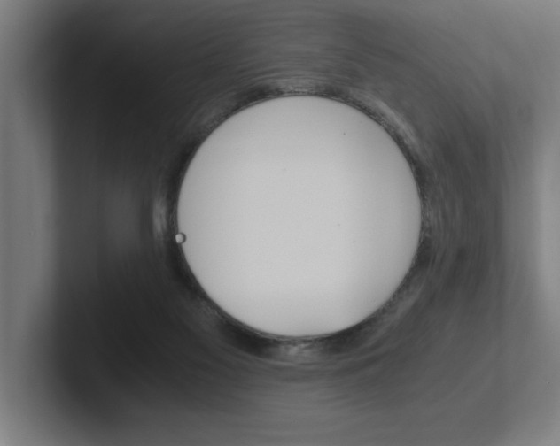 X0000102390117200808010942