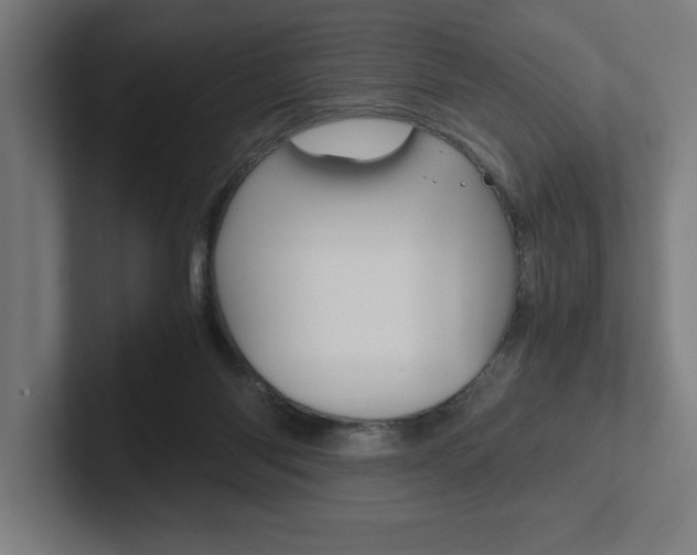 X0000102390118200808010942