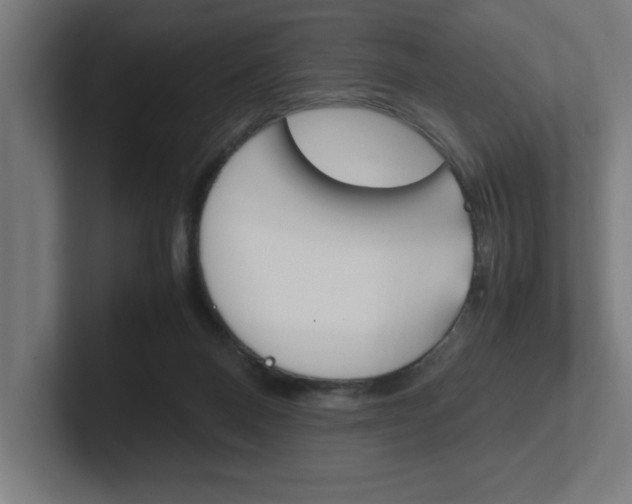X0000102390120200808010942