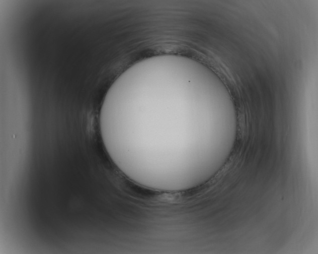 X0000102390126200808010942