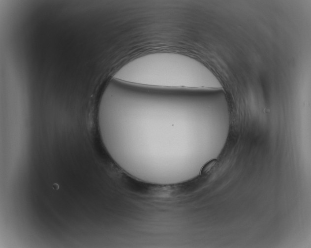 X0000102390131200808010942