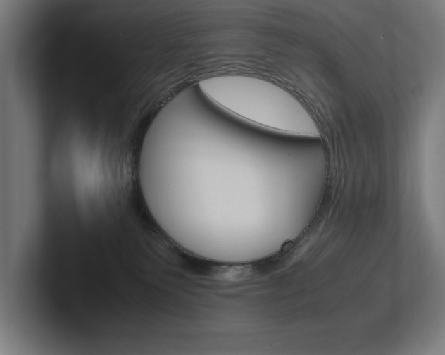 X0000102390135200808010942
