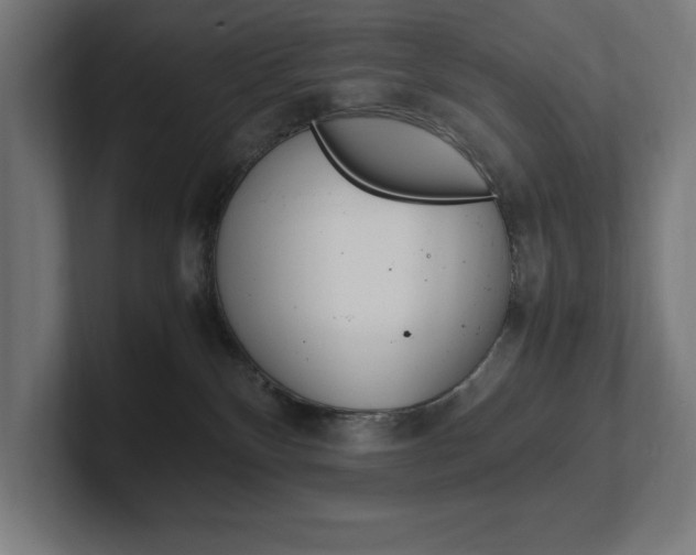 X0000102390136200808010942