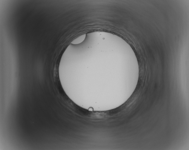 X0000102390137200808010942