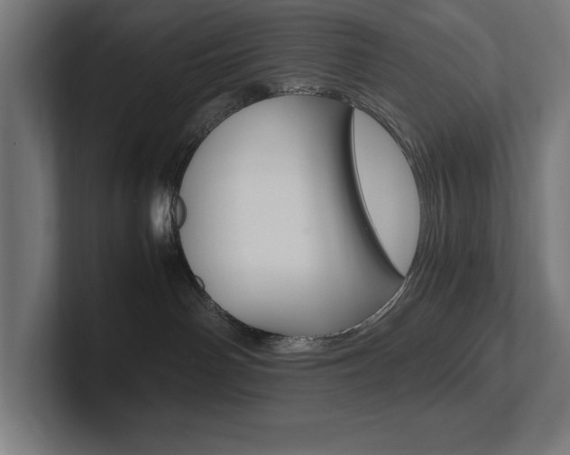 X0000102390142200808010942