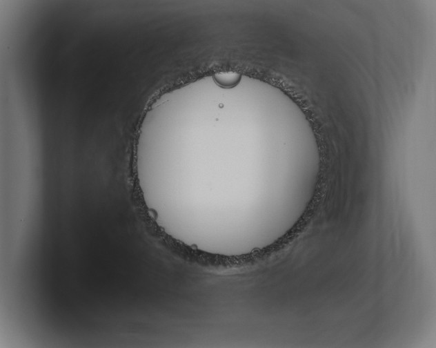X0000102390144200808010942