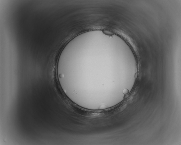 X0000102390153200808010941