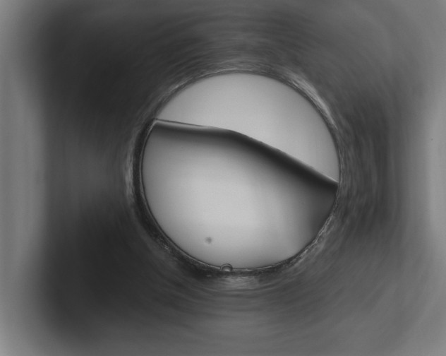 X0000102390154200808010941