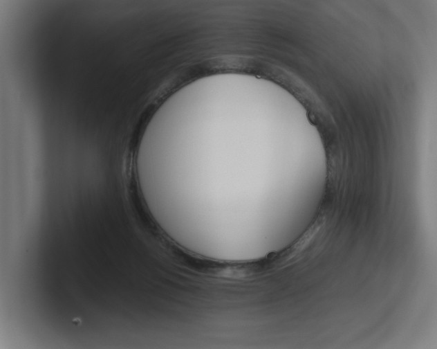 X0000102390168200808010942