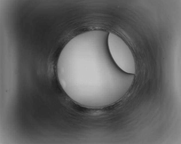 X0000102390169200808010942