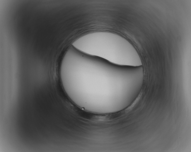 X0000102390170200808010942