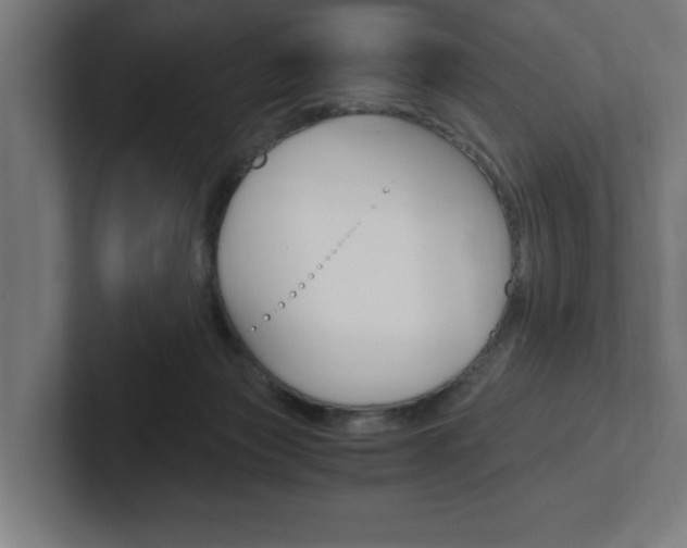 X0000102390173200808010942