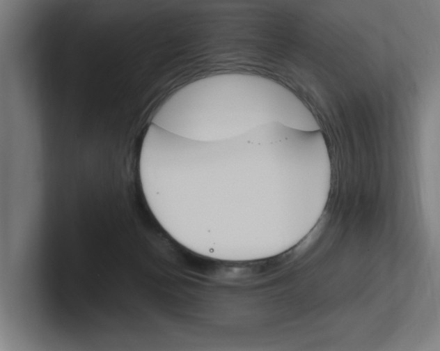 X0000102390174200808010942