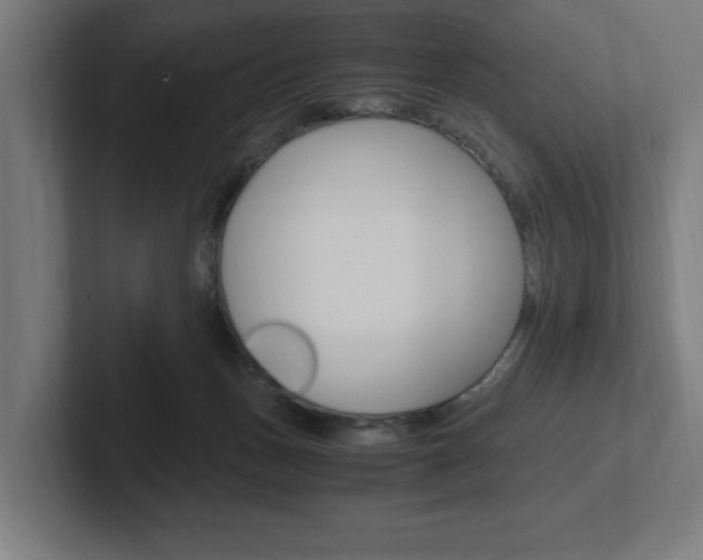 X0000102390175200808010942