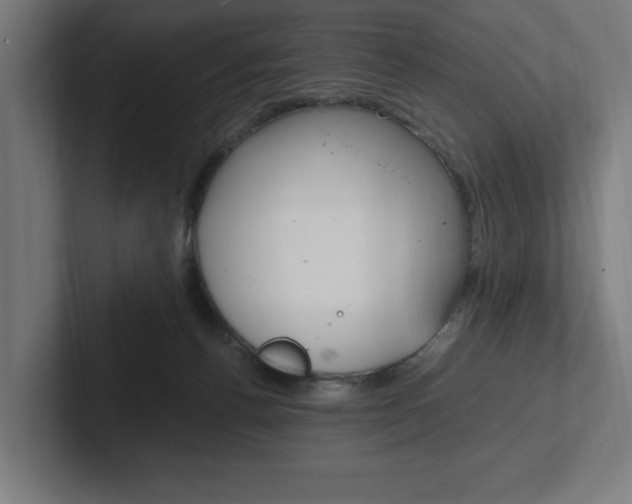 X0000102390176200808010942