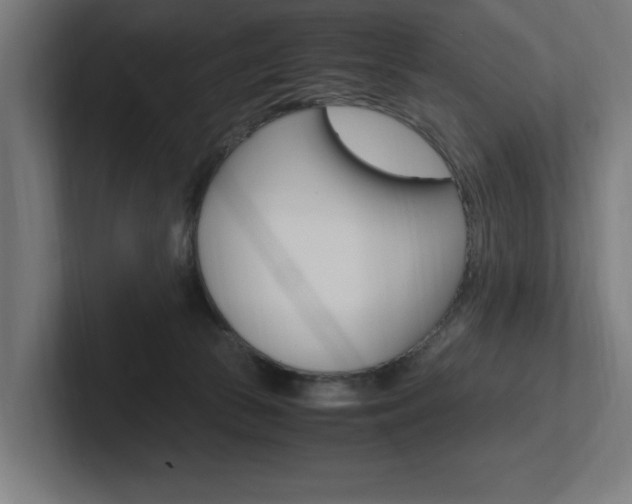 X0000102390177200808010942