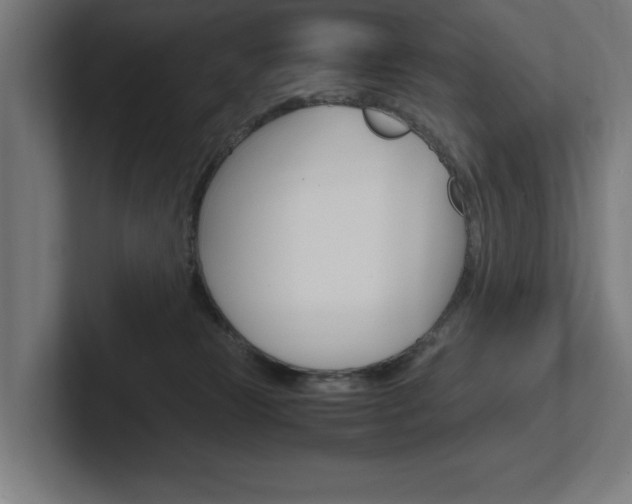 X0000102390181200808010942
