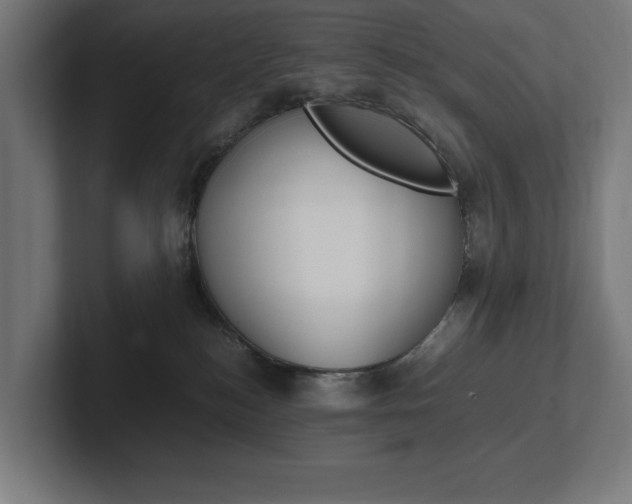 X0000102390184200808010942