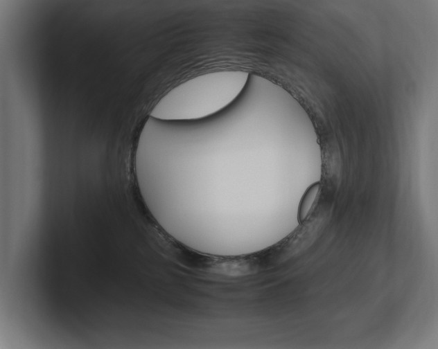 X0000102390185200808010942