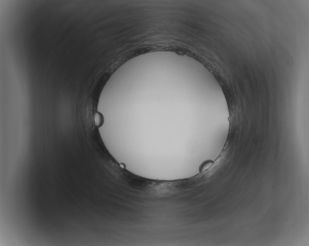 X0000102390186200808010942
