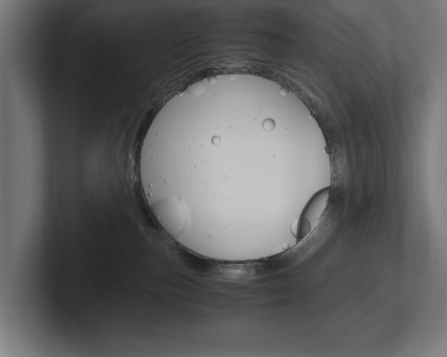 X0000102390187200808010942